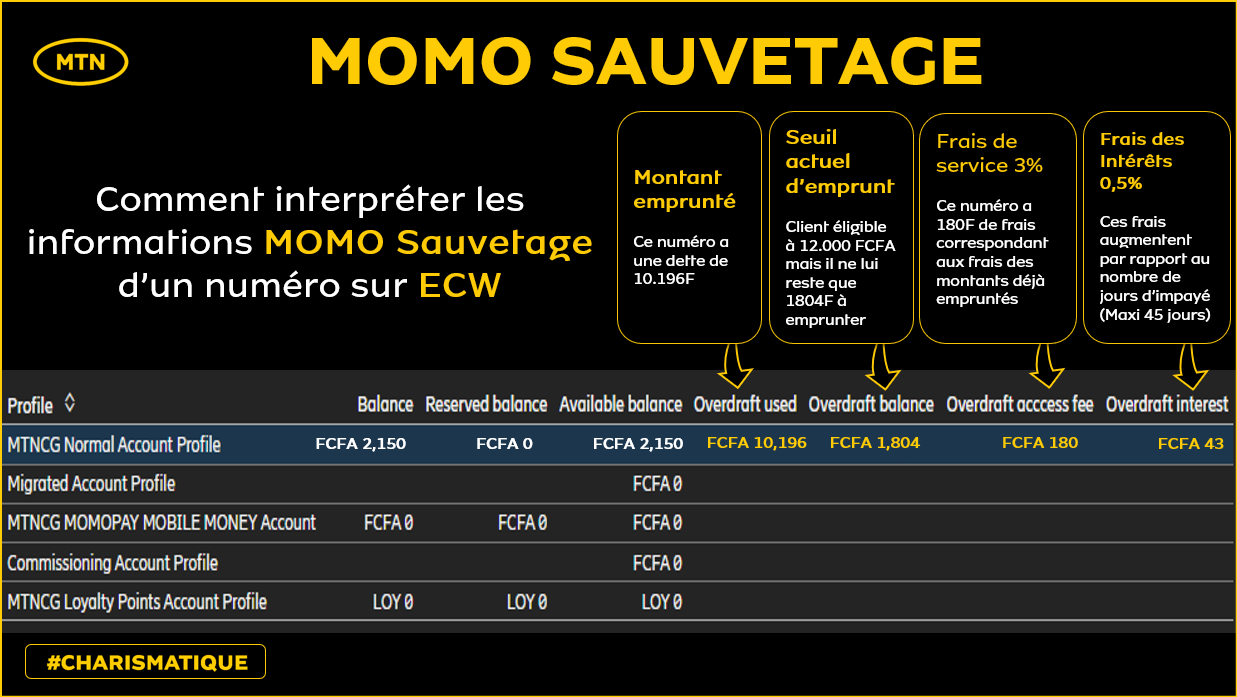 MOMO SAUVETAGE ECW.png